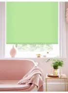 Stem Green Daylight Roller Blind