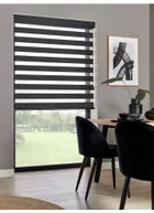 Picturesque Charcoal Vision Day And Night Blind