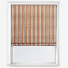 Kashana Dragonfly Roman Blind