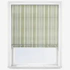 Tintagel Seaweed Roman Blind