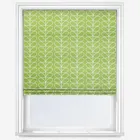 Orla Kiely Linear Stem Chalky Green Roman Blind