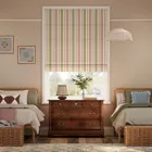 College Stripe Green & Blush Roman Blind
