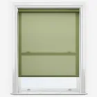 Pop Fern Roller Blind