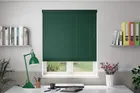 Millennium Green - Venetian Blinds