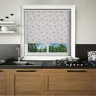 Odi Maroon Roller Blind