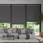 Electric Duoshade Cordless Anthracite Thermal Blind