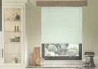 Celeste (blackout) Willows - Pleated Blind