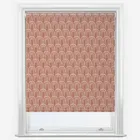 Sonova Studio All Over Rainbow Rhubarb Roller Blind