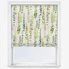 Santa Maria Cactus Roman Blind