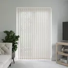 Nice Beige Vertical Blinds