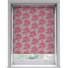 Ella Tilia Light Filtering Roller Blinds