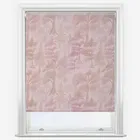 Sonova Studio Evergreen Blush Pink Roller Blind