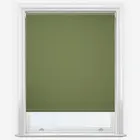 Pop Blackout Fern Roller Blind