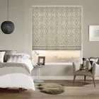 Mex Coin Roman Blinds