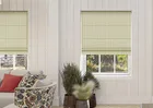 Vintage Stripe Sage - Roman Blind