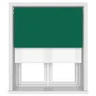 Bella Cacti Motorised Double Roller Blind