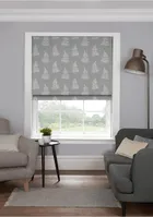 Eb Bracken Silver Roman Blind