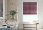 Grampian Bichon - Roman Blind
