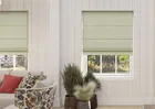 Delicate Chevron Apple - Roman Blind