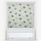 Double Roller Calista Citrus White Double Roller Blind