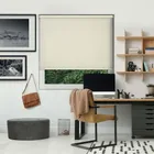 Origin Delicate Cream Cordless Roller Blind