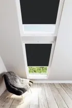 Black Skylight