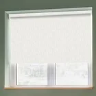 Ribbons Asc White Light Filtering Roller Blinds
