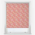 Sonova Studio Circus Mirage Apricot Candy Roller Blind