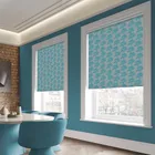Enchanted Alba Roller Blinds
