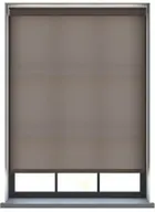 Burst Oyster Mushroom Roller Blind