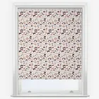 Sonova Studio Terra Cotta Ecru Roller Blind