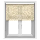 Historic Royal Palaces Kensington Ochre