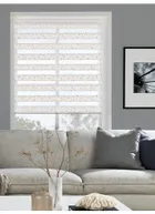 Origine Blush Vision Day And Night Blind