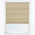 Fernia Mustard Roman Blind