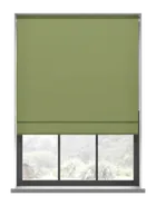 Renai Green