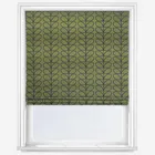 Orla Kiely Linear Stem Olive And Black Roman Blind