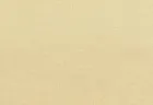 Voile Plt 20 Cream