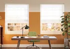 Pavia Voile White Primrose - Roman Blind