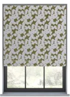 Bexley Olive
