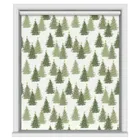 Christmas Trees Forest