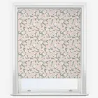 Sonova Studio Decoupe Blush Roller Blind