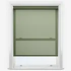Pop Ivy Roller Blind