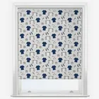 Sonova Studio Team Play Blue Roller Blind
