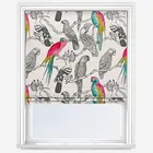 Aviary Begonia Roman Blind