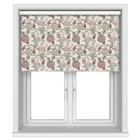 Dahlia Blush Blackout Motorised