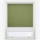 Double Roller Pop Blackout Fern & White Double Roller Blind