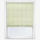 Orla Kiely Linear Stem Dark Grass Green Roman Blind