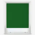 Sonova Studio Essenza Grass Green Roller Blind