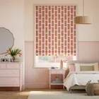 Mr Fox Stripe Blush Roman Blind