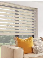 Picturesque Beige Vision Day And Night Blind
